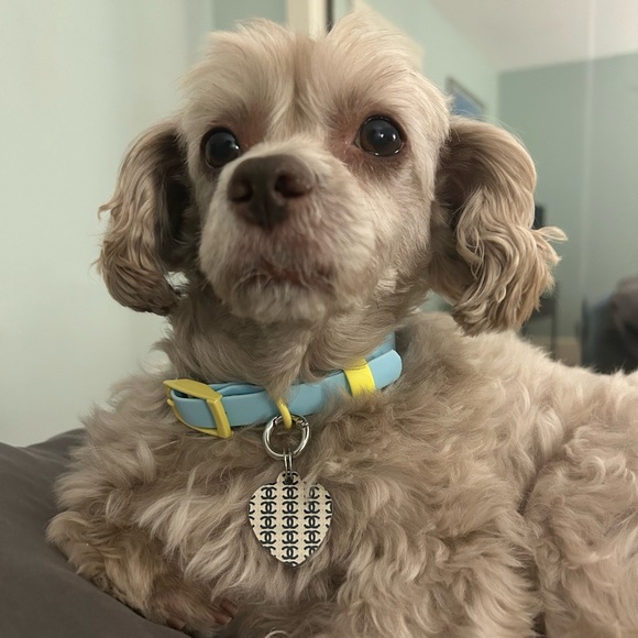 Mr. Appleby’s Pop Up Share Show - Picture 2 of 10